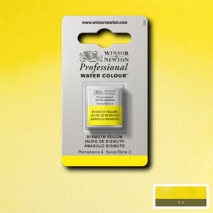 025 - Giallo bismuto 1/2 Godet Acquerello Professional Winsor e Newton