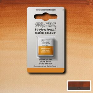 059 - Ocra bruno 1/2 Godet Acquerello Professional Winsor e Newton