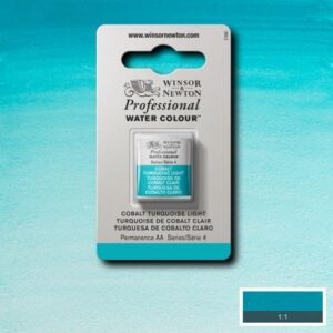 191 - Turchese di cobalto chiaro 1/2 Godet Acquerello Professional Winsor e Newton