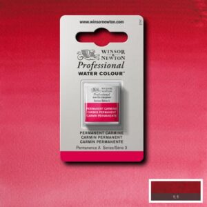 479 - Carminio permanente 1/2 Godet Acquerello Professional Winsor e Newton