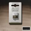 609 - Seppia 1/2 Godet Acquerello Professional Winsor e Newton