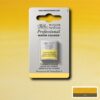 649 - Giallo di Turner 1/2 Godet Acquerello Professional Winsor e Newton
