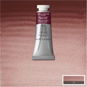 125 - Viola caput mortuum 14 ML Acquerello Professional Winsor e Newton
