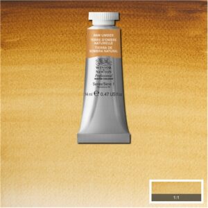 554 - Terra d'ombra naturale 14 ML Acquerello Professional Winsor e Newton