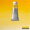 731 - Giallo Winsor scuro 14 ML Acquerello Professional Winsor e Newton