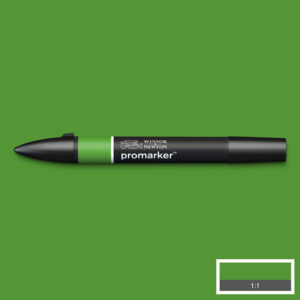 068 - Forrest Green (G356) - Winsor e Newton  Promarker