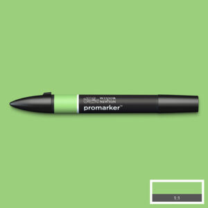 210 - Apple (G338) - Winsor e Newton  Promarker