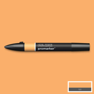 255 - Apricot (O538) - Winsor e Newton  Promarker