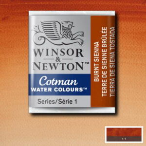 074 - Terra di Siena bruciata 1/2 Godet Acquerello Cotman Winsor e Newton