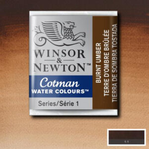 076 - Terra d'ombra bruciata 1/2 Godet Acquerello Cotman Winsor e Newton
