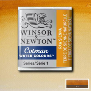 552 - Terra di Siena naturale 1/2 Godet Acquerello Cotman Winsor e Newton