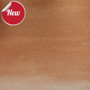 058 - Bronzo 21 ML Acquerello Cotman Winsor e Newton