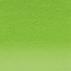 C420 - Green Matita Colorata Coloursoft Derwent