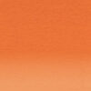 C550 - Ginger Matita Colorata Coloursoft Derwent