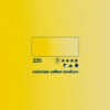225 - giallo di cadmio medio Acquerello 1/2 Godet Horadam Schmincke