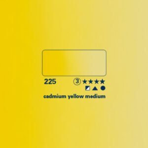 225 - giallo di cadmio medio Acquerello 1/2 Godet Horadam Schmincke