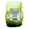 941 - oliva bosco Acquerello 1/2 Godet Horadam Supergranulation Schmincke