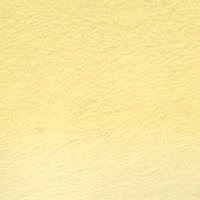 01 - Zinc yellow Matite  Acquerellabili Derwent Watercolour