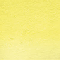 04 - Primrose yellow Matite  Acquerellabili Derwent Watercolour