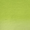 47 - Grass green Matite  Acquerellabili Derwent Watercolour