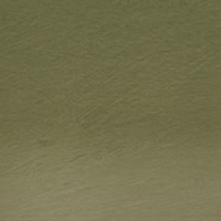 49 - Sap green Matite  Acquerellabili Derwent Watercolour
