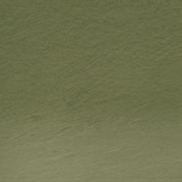 51 - Olive green Matite  Acquerellabili Derwent Watercolour