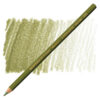 249 - Oliva scuro Matita Acquerellabile Supracolor Caran d'Ache