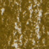 Verde Oliva Chiaro - Gessetti Secchi Jaxell