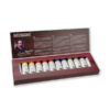 Set Anniversario Jubilee Box 12 Tubi da 15 ML Olio Mussini Schmincke
