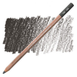 495 - Grigio ardesia Matita Gessosa Pastel Pencil Caran d'Ache