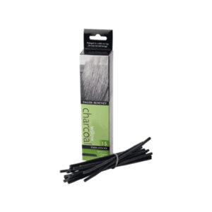 Fusaggine Artists' circa 2-4 mm Scatola di 15 pezzi Daler Rowney