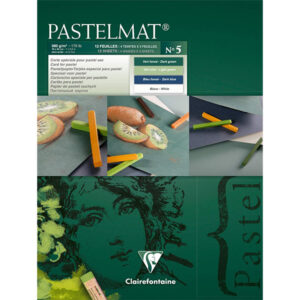 Blocco Pastelmat n° 5 - 18 x 24 cm, Fogli 12, 360 gr (verde chiaro, verde scuro, blu scuro, bianco) Clairefontaine
