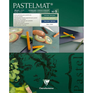 Blocco Pastelmat n° 5 - 24 x 30 cm, Fogli 12, 360 gr (verde chiaro, verde scuro, blu scuro, bianco) Clairefontaine