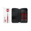 Set Passion for Art - 5 Pennelli sintetico Silver Borciani e Bonazzi
