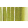 074 - Verde Vescica AquaBrushDuo Lyra
