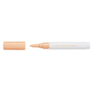 Arancione - Punta Fine Pilot Pintor Pastel
