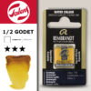 238 - Gomma Gutta Acquerello 1/2 Godet Rembrandt Aquarel Talens