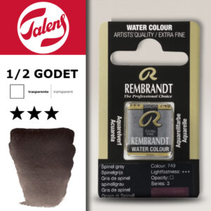 749 - Grigio Spinell Acquerello 1/2 Godet Rembrandt Aquarel Talens