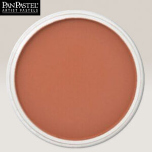 PP20 - Burnt Sienna Pastelli Ultra Soft Panpastel