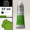 W030 - 145 - Verde di cromo imit 37 ML Olio Winton Winsor e Newton