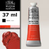 W009 - 603 - Lacca scarlatta 37 ML Olio Winton Winsor e Newton