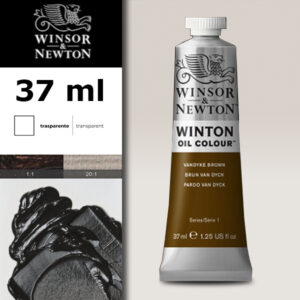 W047 - 676 - Bruno van dyck 37 ML Olio Winton Winsor e Newton