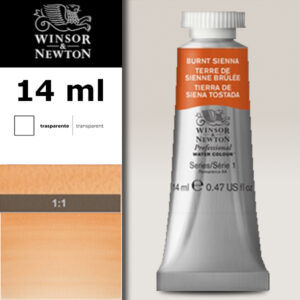 074 - Terra di Siena bruciata 14 ML Acquerello Professional Winsor e Newton