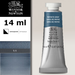 465 - Grigio di Payne 14 ML Acquerello Professional Winsor e Newton
