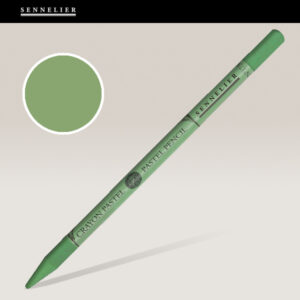 173 - Moss Grey Green Pastel Pencil Singoli Sennelier