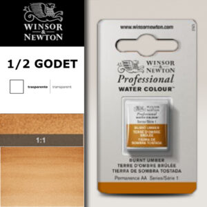 076 - Terra d'ombra bruciata 1/2 Godet Acquerello Professional Winsor e Newton
