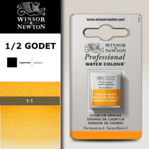 089 - Giallo cadmio arancio 1/2 Godet Acquerello Professional Winsor e Newton