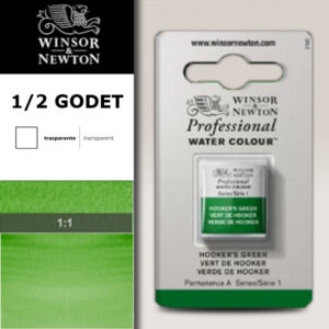 311 - Verde di Hooker 1/2 Godet Acquerello Professional Winsor e Newton