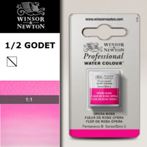448 - Fiore di rosa opera 1/2 Godet Acquerello Professional Winsor e Newton