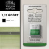 459 - Ossido di cromo 1/2 Godet Acquerello Professional Winsor e Newton